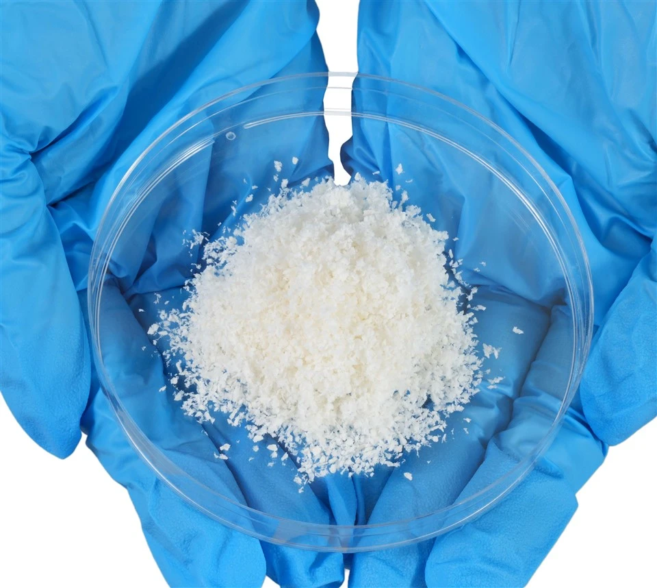 Collagen Powder For Wound Dressing